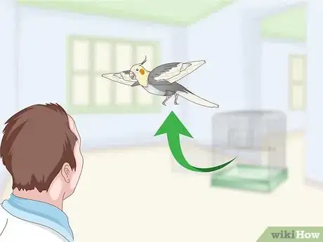 Image titled Entertain a Cockatiel Step 11