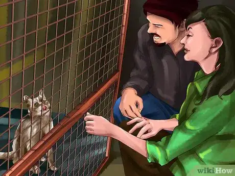 Image titled Responsibly Give a Cat As a Gift Step 10