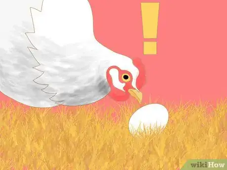 Image titled Keep Chickens from Eating Their Own Eggs Step 8