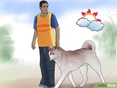 Image titled Keep Your Dog Comfortable Outdoors Step 11
