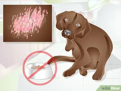 Image titled Choose Between Dry or Canned Dog Food Step 5