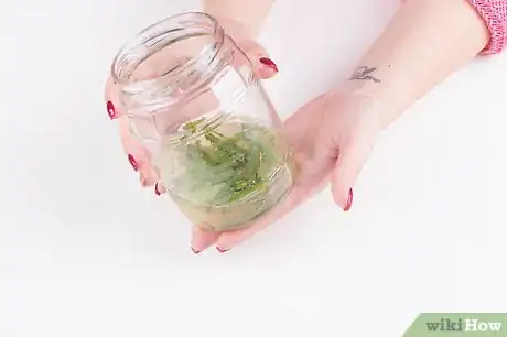 Image titled Make Natural Herbal Oil Step 2