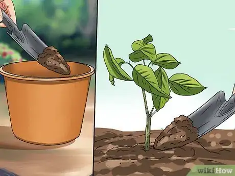 Image titled Plant Step 27