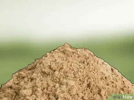 Image titled Grow Akebia Quinata Step 2