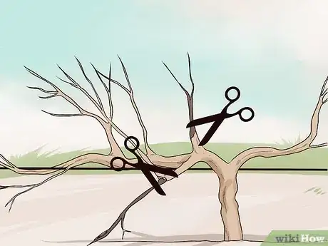 Image titled Prune Vines Step 14