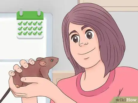 Image titled Desex a Pet Rat Step 10