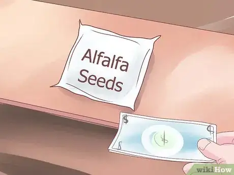 Image titled Grow Alfalfa Sprouts Step 1