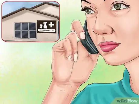 Image titled Choose a Vet Step 7
