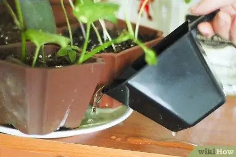 Image titled Prevent Spider Mites on Houseplants Step 3