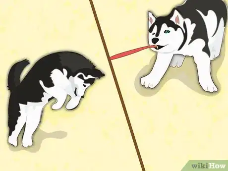 Image titled Name a Husky Step 7