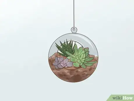 Image titled Display Succulents Step 3