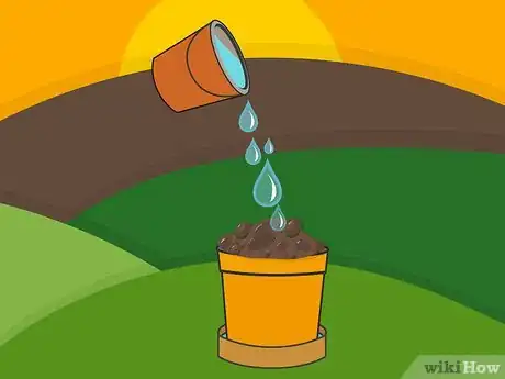 Image titled Plant Bulbs in Pots Step 09