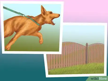 Image titled Manage Aggression in Older Dogs Step 3