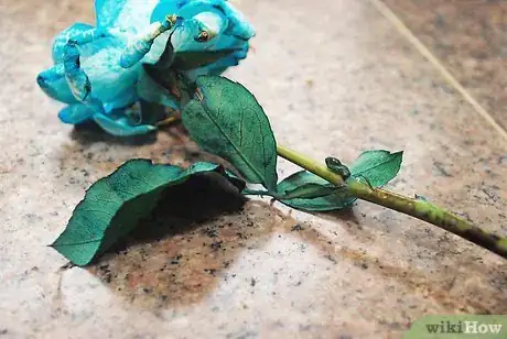 Image titled Tint Flowers Step 8