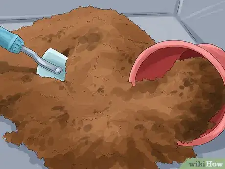 Image titled Grow Ivy Step 17