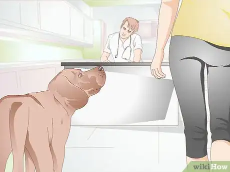 Image titled Identify Canine Ear Mites Step 9