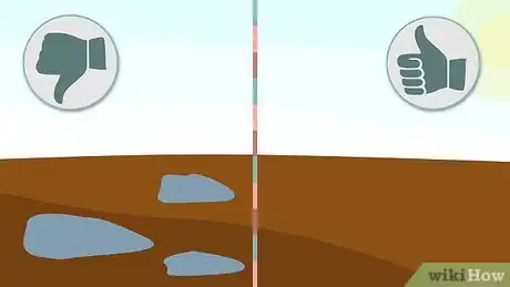 Image titled Plant Hyacinths Step 1