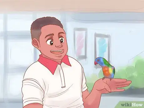 Image titled Know if Lories and Lorikeets Are Right for You Step 1
