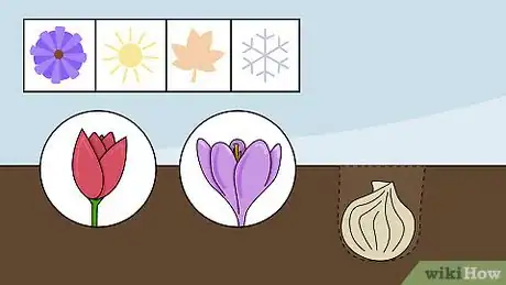 Image titled Plant Flower Bulbs Step 16