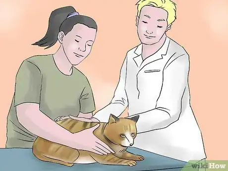 Image titled Treat Chronic Vomiting in Cats Step 6