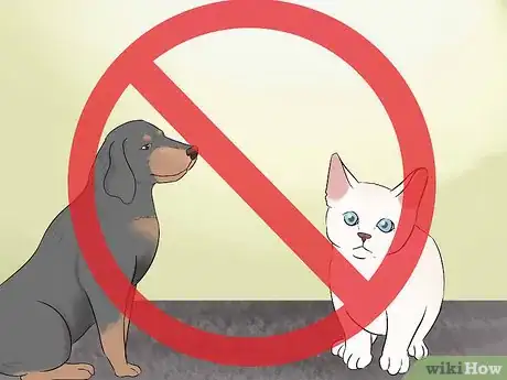 Image titled Tame Pigeons to Be out of Cage Permanently Step 18