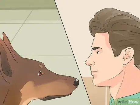 Image titled Rehabilitate an Overly Shy Dog Step 7