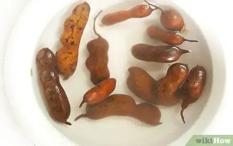 Image titled Make Tamarind Dressing Step 1