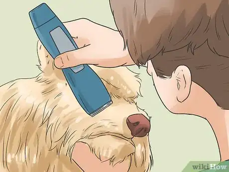 Image titled Groom a Silky Terrier Step 13