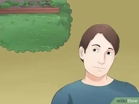 Image titled Grow Ginseng Step 2