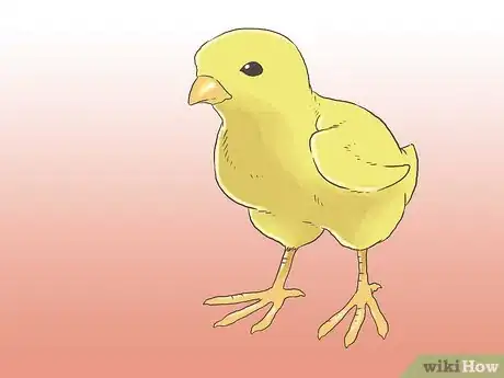 Image titled Raise Chickens for Eggs Step 9