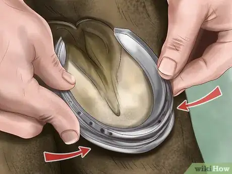 Image titled Maintain Good Hoof Care on Your Horse Step 17