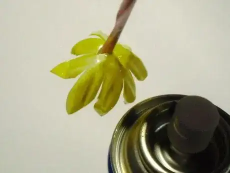 Image titled Tpf9_762.JPG