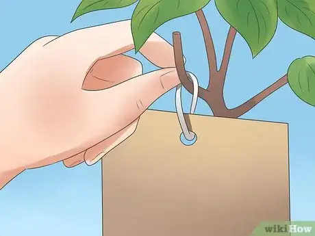 Image titled Control Whiteflies Step 9