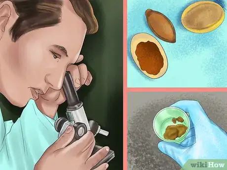 Image titled Prevent Parasites in Horses Step 5