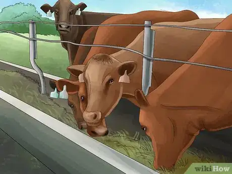 Image titled Manage Pastures Using Rotational or Management Intensive Grazing Step 26
