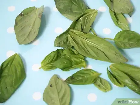 Image titled Freeze Basil Step 8