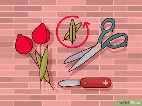 Image titled Prune Tulips Step 7