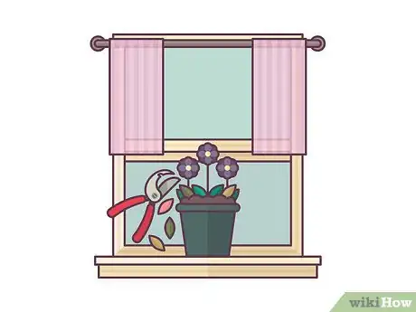 Image titled Repot African Violets Step 15