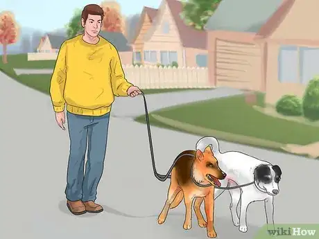 Image titled Walk Two Dogs at the Same Time on Leashes Step 9