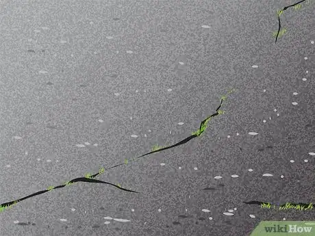 Image titled Fill Asphalt Cracks Step 8