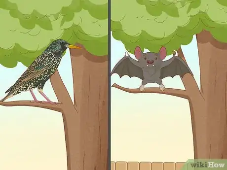 Image titled Pollinate Fruit Trees Step 9