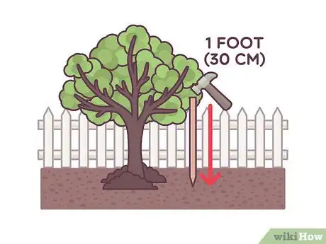 Image titled Stake an Apple Tree Step 8