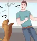 Exercise With Your Dog