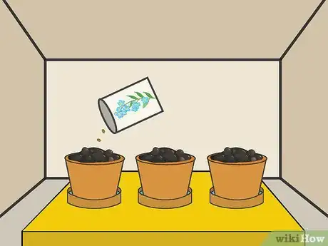 Image titled Plant Forget Me Not Seeds Step 08