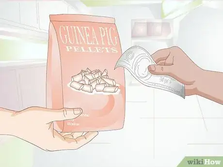 Image titled Feed a Guinea Pig a Well Balanced Meal Step 3