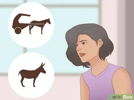 Image titled Visit Petra Step 17