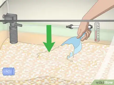 Image titled Build a Freshwater Predator Fish Aquarium Step 5