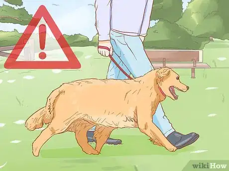 Image titled Treat Skin Allergies in Golden Retrievers Step 1