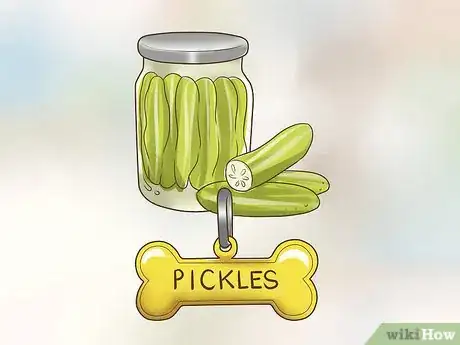 Image titled Find Unique Dog Names Step 3