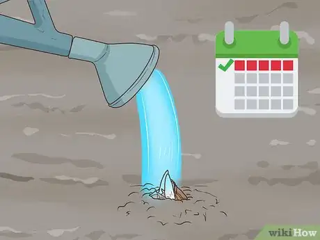 Image titled Grow Crocus Step 10